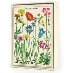 Kortit ja kuoret 8 kpl Wildflowers Cavallini