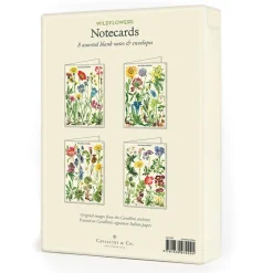 Kortit ja kuoret 8 kpl Wildflowers Cavallini